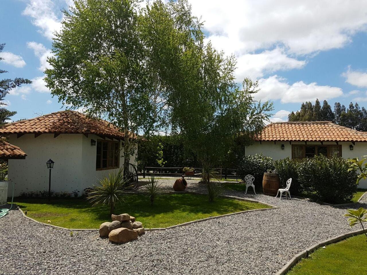 Alojamento Colchagua *